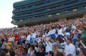 stadiumcrowd.jpg